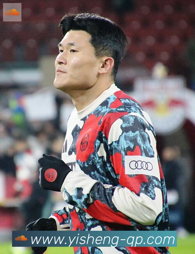维尼修斯